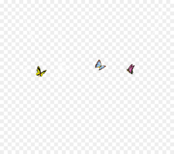 Download Valentines Day Butterfly - butterfly Download Valentines Day Butterfly - butterfly