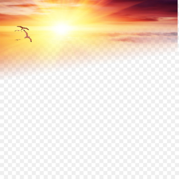 Download Wallpaper - Lofty sunset under the solitary goose Download Wallpaper - Lofty sunset under the solitary goose
