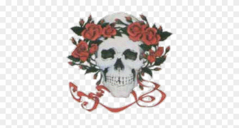 Dr Mark - Grateful Dead Skull And Roses