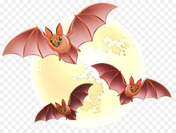 Dragon Dragon