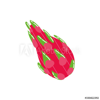 dragon exotic fruit flat style dragon exotic fruit flat style
