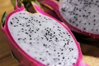Dragon Fruit Dragon Fruit
