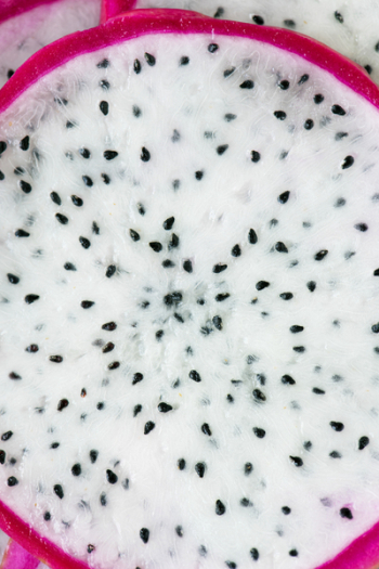 Dragon Fruit Dragon Fruit