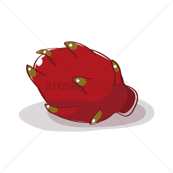 Dragon fruit Dragon fruit