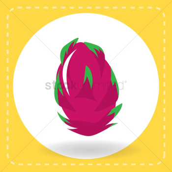 Dragon fruit Dragon fruit