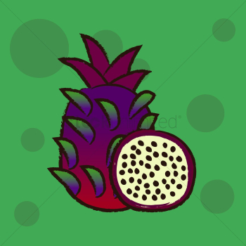 Dragon fruit Dragon fruit
