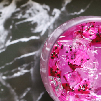 Dragon Fruit Drink Dragon Fruit Drink