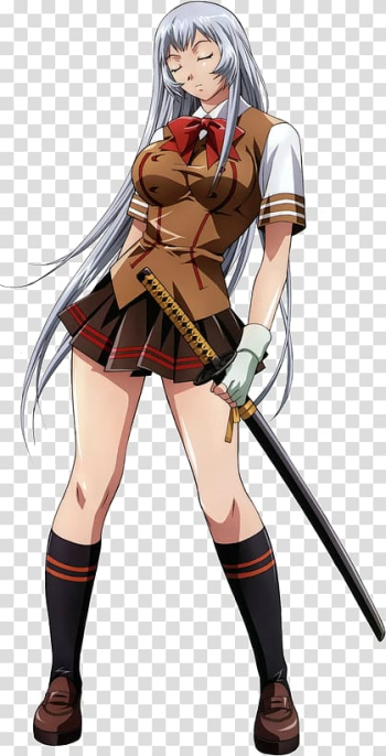 Dragon Shiryū Ikki Tousen Anime Phoenix Ikki Koihime Musō, Anime transparent background PNG clipart
