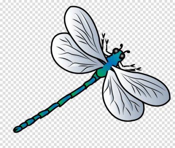 Dragonfly Vector Png