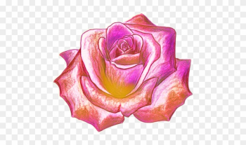 Draw A Rose Draw A Rose