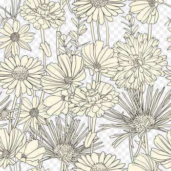 Draw Flowers Drawing Pattern - Flowers, black and white line art background - vector material 