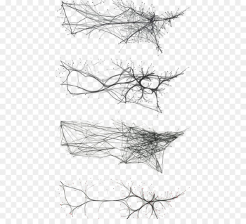 Drawing Architecture Graphic design Diagram - Curved line Drawing Architecture Graphic design Diagram - Curved line