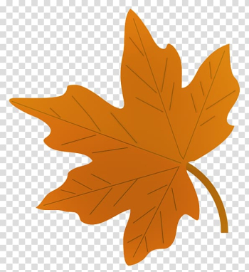 Drawing Autumn leaf color Maple leaf , leaf transparent background PNG clipart Drawing Autumn leaf color Maple leaf , leaf transparent background PNG clipart