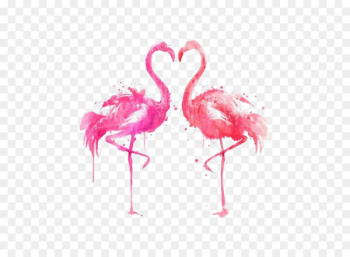 Drawing Bird Ink Illustration - Ink flamingos Drawing Bird Ink Illustration - Ink flamingos