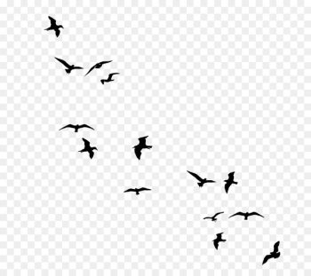 Drawing birds Silhouette - flock birds Drawing birds Silhouette - flock birds