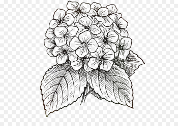 Drawing, Creativity, Art, Flower, Line Art PNG Drawing, Creativity, Art, Flower, Line Art PNG