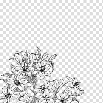 Drawing Flower Art , flower transparent background PNG clipart