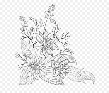Drawing, Flower, Stock Photography, White, Line Art PNG Drawing, Flower, Stock Photography, White, Line Art PNG