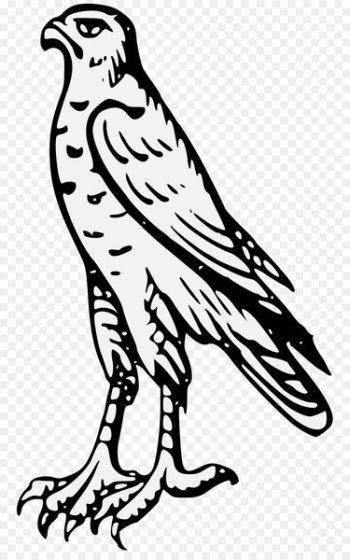 Drawing, Hawk, Art, Bird, Vertebrate PNG Drawing, Hawk, Art, Bird, Vertebrate PNG