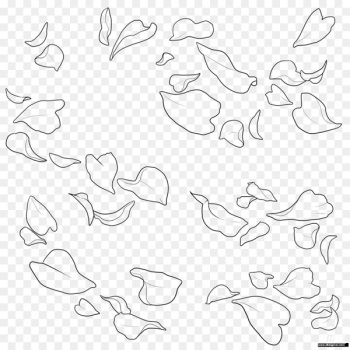 Drawing Illustration Sketch Flower Watercolor painting - brushstroke transparent background 