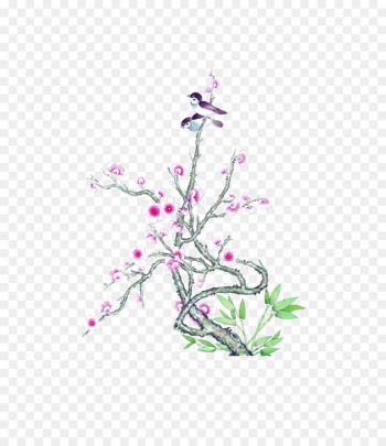 Drawing Ink wash painting Plum blossom - twitter 