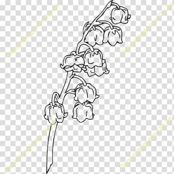 Drawing Line art, lily of the valley transparent background PNG clipart Drawing Line art, lily of the valley transparent background PNG clipart