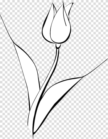 Drawing Line art Monochrome, white tulip transparent background PNG clipart Drawing Line art Monochrome, white tulip transparent background PNG clipart