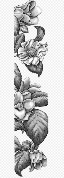 Drawing Line art Visual arts Idea Sketch - Sketch decorative floral borders 