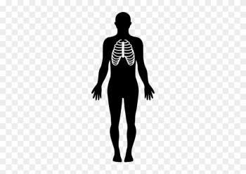 Drawing Lung Silhouette - Drawing Lung Silhouette Drawing Lung Silhouette - Drawing Lung Silhouette