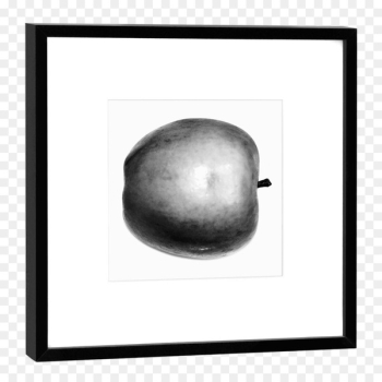 Drawing, M02csf, Black White M, Sphere, Tree PNG Drawing, M02csf, Black White M, Sphere, Tree PNG