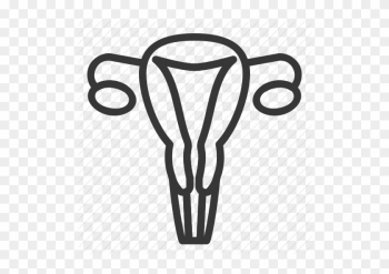 Drawing Medicine Uterus - Drawing Medicine Uterus