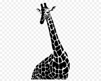 Drawing Northern giraffe Monochrome photography Illustration - Black and white giraffe 