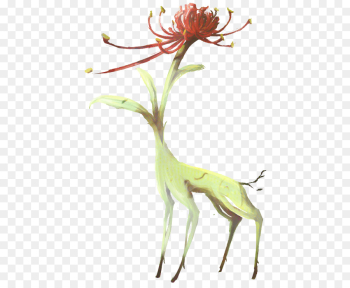 Drawing, Red Spider Lily, Art, Plant, Flower PNG Drawing, Red Spider Lily, Art, Plant, Flower PNG