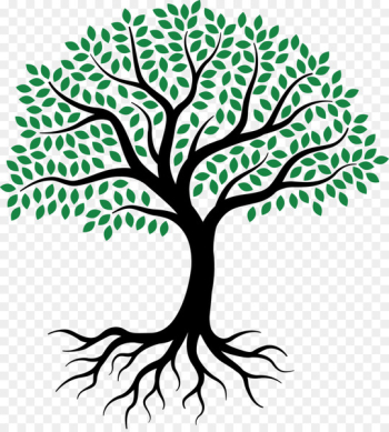 Drawing Root Tree Sketch - tree of life Drawing Root Tree Sketch - tree of life