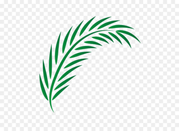 Drawing - Vector palm leaves 