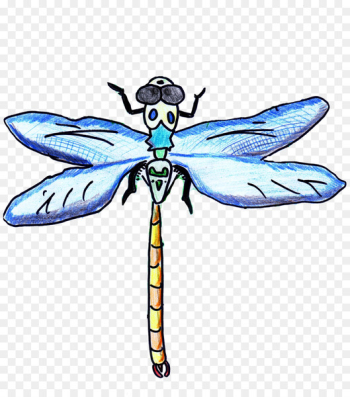 Drawing with Colored Pencils Drawing with Colored Pencils Clip art Dragonfly - dragonfly 