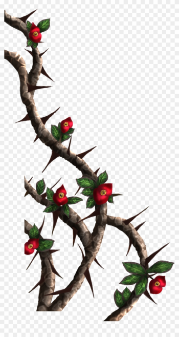 Drawn Rose Bush Thorn Bush - Roses With Thorns Png