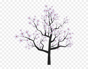 Drawn Sakura Blossom Transparent - Cherry Blossom Tree Png Drawing