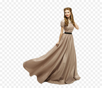 Dress Evening gown Stock photography Model - Cinderella model 