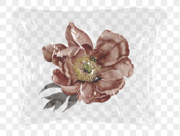 Dried pink png flower plastic | Free PNG - rawpixel