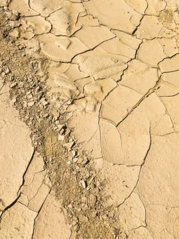dried soil dried soil