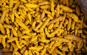 Dried Turmeric Roots for Culinary and Medicinal Use Dried Turmeric Roots for Culinary and Medicinal Use