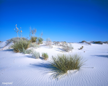 Drifting in the Nebraska Sandhills. Original .. | Free public domain photo - 421879