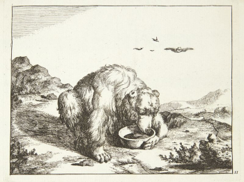 Drinking bear by Marcus de | Free Photo - rawpixel Drinking bear by Marcus de | Free Photo - rawpixel
