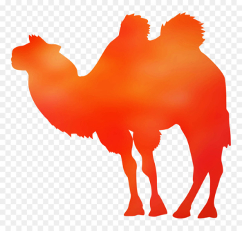 Dromedary Blanket Towel Bactrian camel Bed - Dromedary Blanket Towel Bactrian camel Bed -