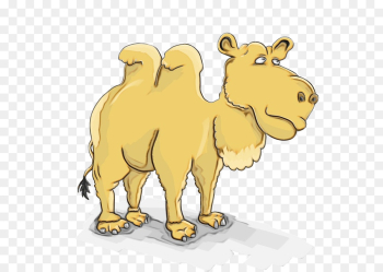 Dromedary, Mammal, Dog, Camel, Camelid PNG Dromedary, Mammal, Dog, Camel, Camelid PNG