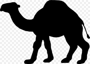 Dromedary, Silhouette, Desert, Camel, Mammal PNG Dromedary, Silhouette, Desert, Camel, Mammal PNG