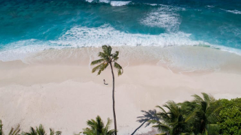 Drone Shot of a Person Standing on a Tropical Seashore