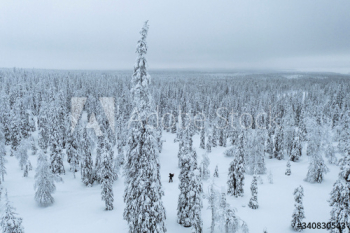 Drone shot of people trekking in a snowy forest in Lapland, Finland Drone shot of people trekking in a snowy forest in Lapland, Finland