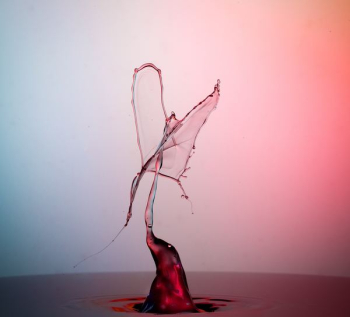drop of water in shallow focus photography drop of water in shallow focus photography